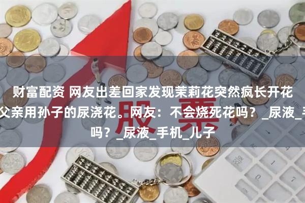 财富配资 网友出差回家发现茉莉花突然疯长开花，原来是父亲用孙子的尿浇花。网友：不会烧死花吗？_尿液_手机_儿子