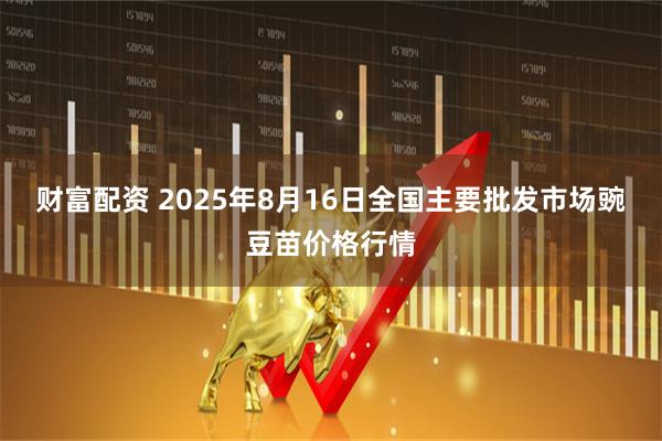 财富配资 2025年8月16日全国主要批发市场豌豆苗价格行情